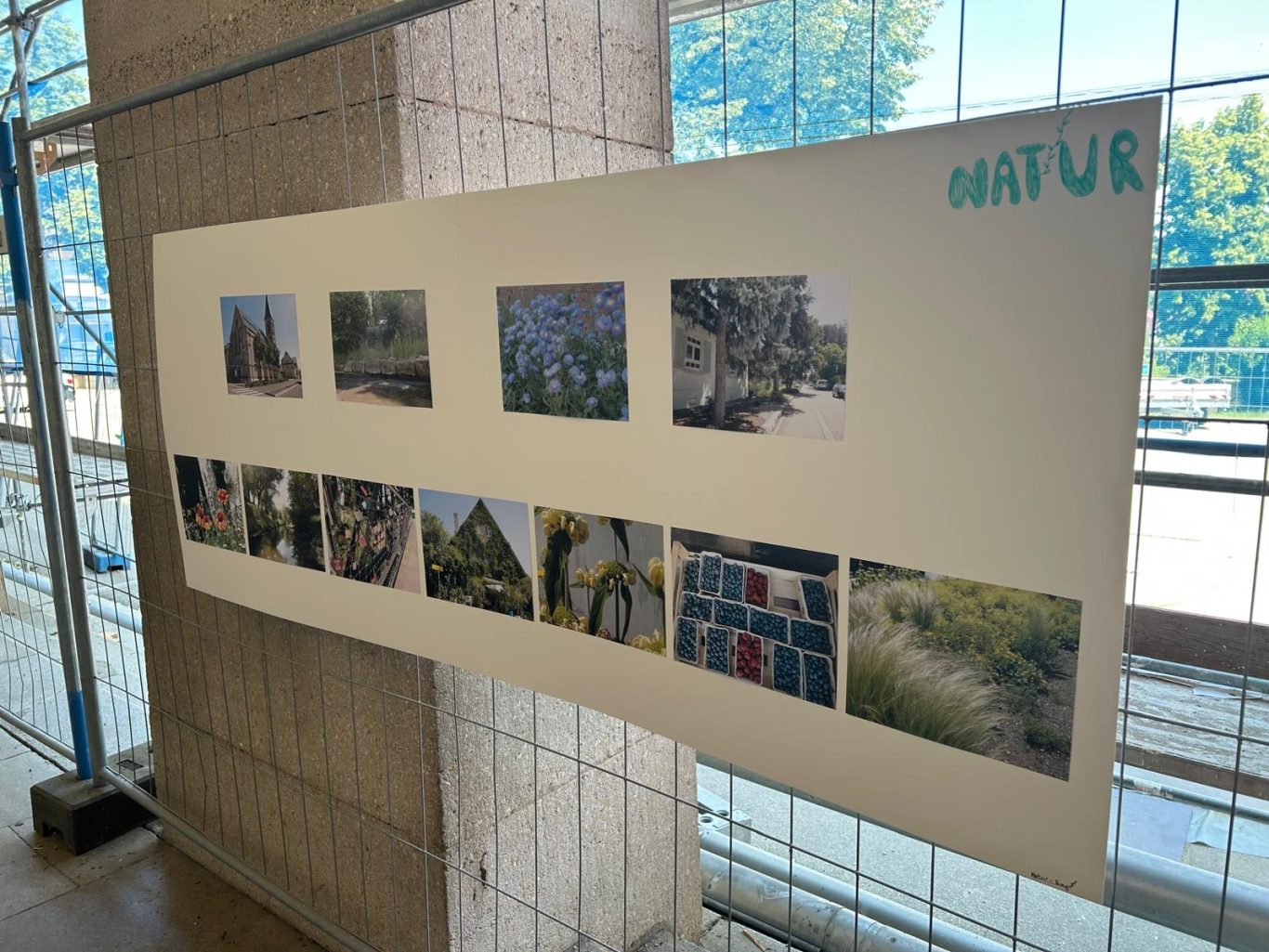 Informationstafel mit Fotografien von Naturmotiven an einer Wand.